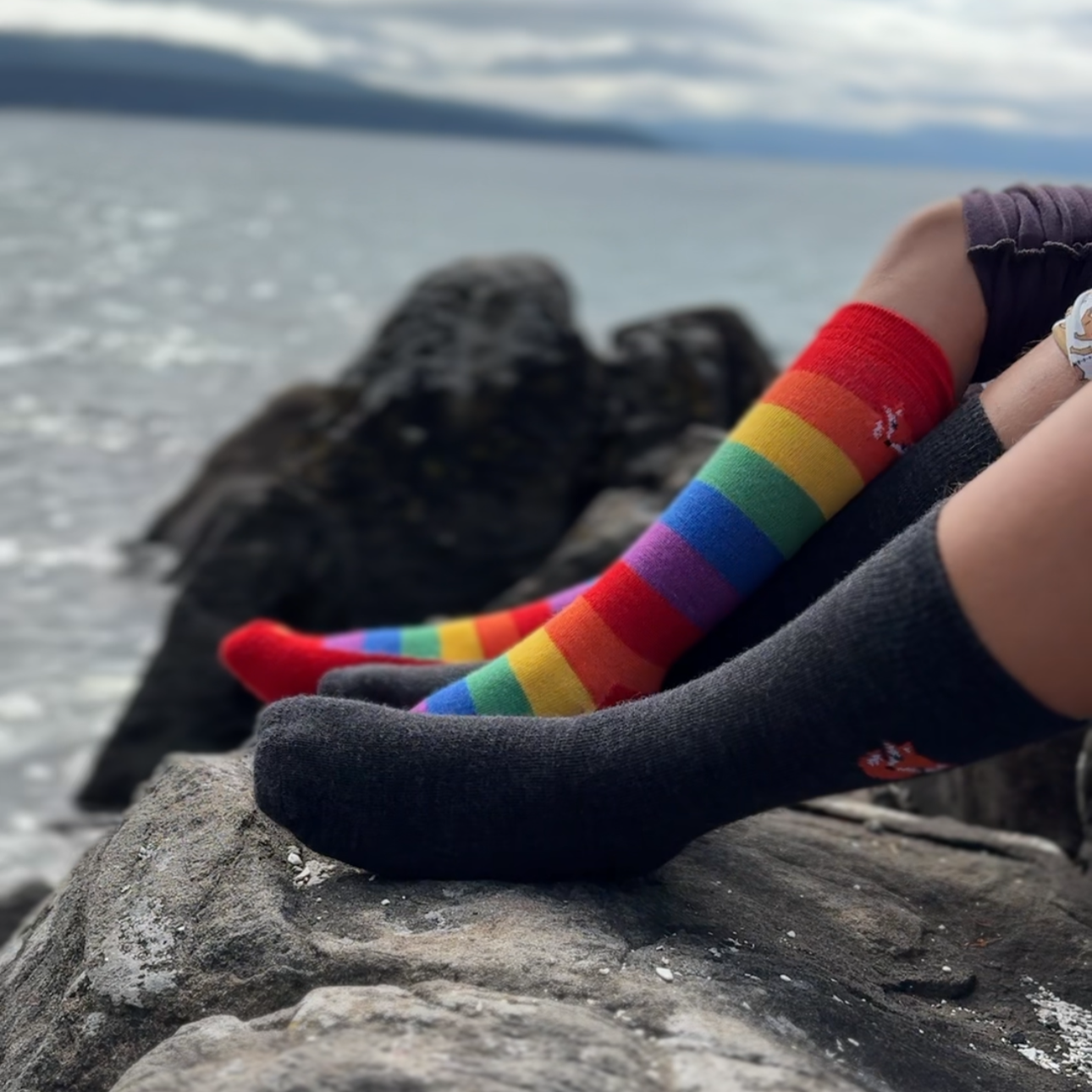 Adult Merino Wool Socks - Play Outside