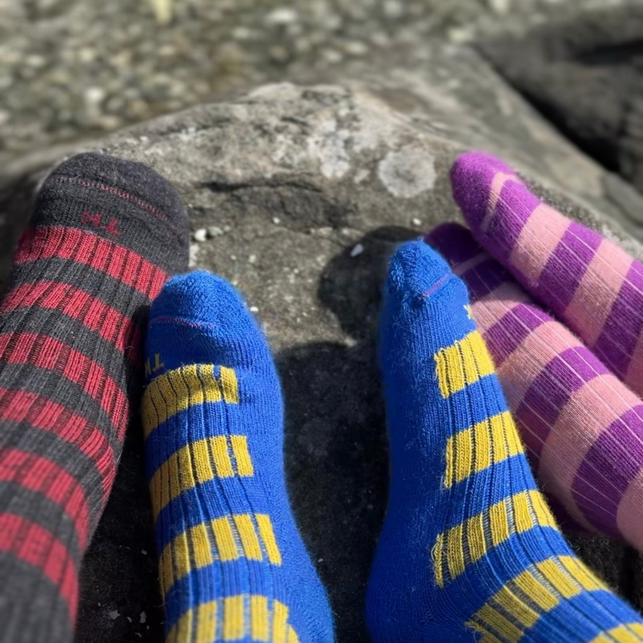 Adult Merino Wool Socks - Explore