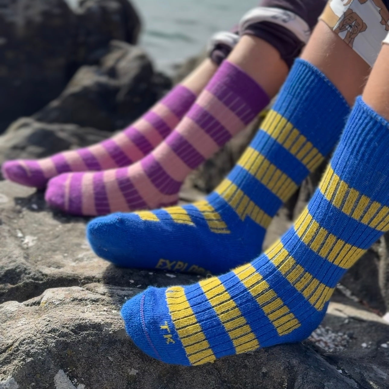 Adult Merino Wool Socks - Explore