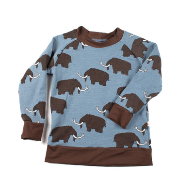 Kids Organic Cotton Crew Neck Sweatshirts